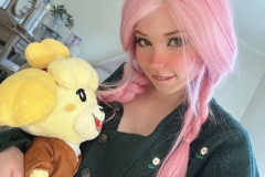 5_belle_delphine_animal_crossing_toys